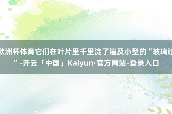 欧洲杯体育它们在叶片里千里淀了遍及小型的“玻璃碴”-开云「中国」Kaiyun·官方网站-登录入口