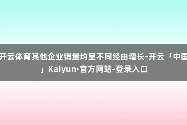 开云体育其他企业销量均呈不同经由增长-开云「中国」Kaiyun·官方网站-登录入口