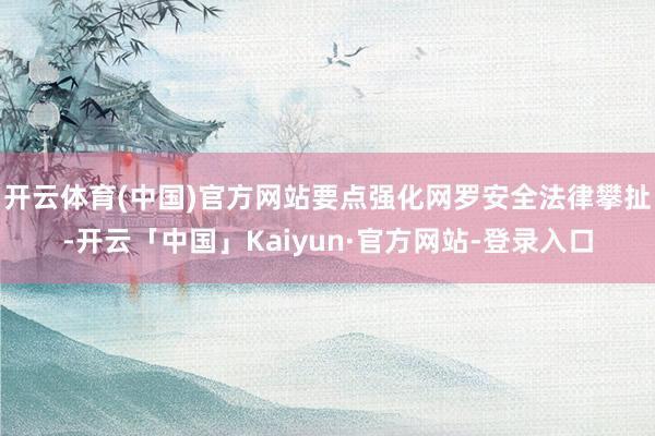 开云体育(中国)官方网站要点强化网罗安全法律攀扯-开云「中国」Kaiyun·官方网站-登录入口