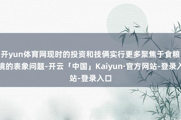 开yun体育网现时的投资和技俩实行更多聚焦于食粮危境的表象问题-开云「中国」Kaiyun·官方网站-登录入口