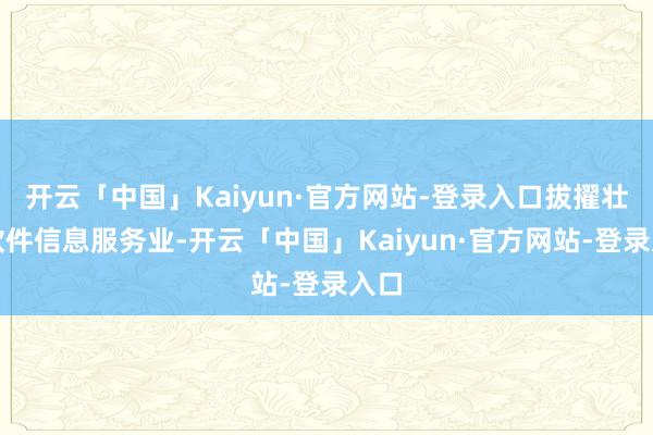 开云「中国」Kaiyun·官方网站-登录入口拔擢壮大软件信息服务业-开云「中国」Kaiyun·官方网站-登录入口
