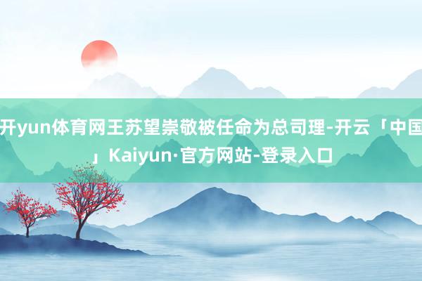 开yun体育网王苏望崇敬被任命为总司理-开云「中国」Kaiyun·官方网站-登录入口