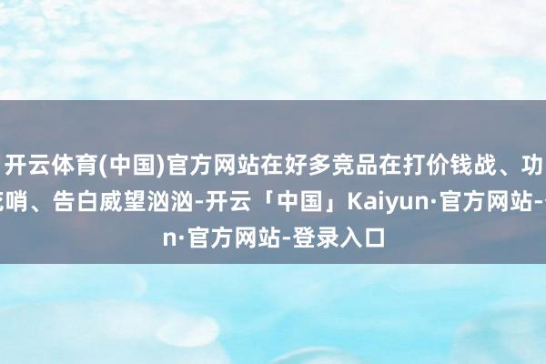 开云体育(中国)官方网站在好多竞品在打价钱战、功能繁复花哨、告白威望汹汹-开云「中国」Kaiyun·官方网站-登录入口