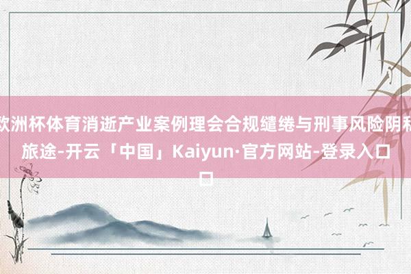 欧洲杯体育消逝产业案例理会合规缱绻与刑事风险阴私旅途-开云「中国」Kaiyun·官方网站-登录入口